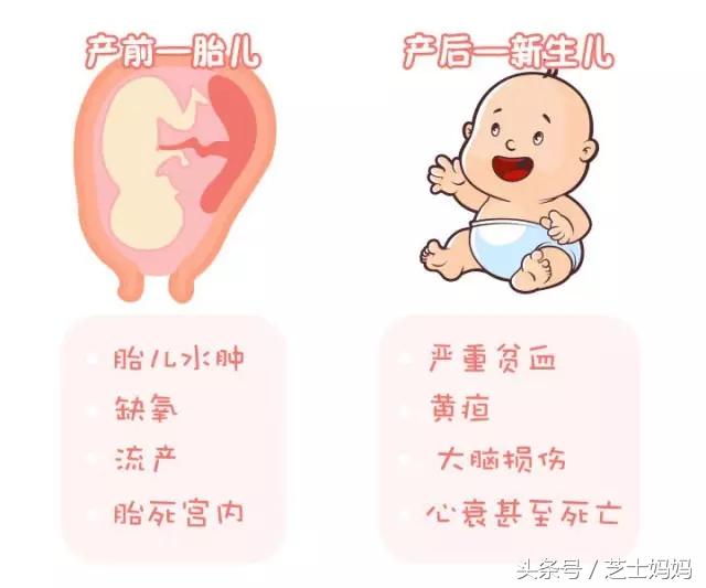 熊猫血生三胎妈妈的感言,熊猫血生娃的成功率高吗