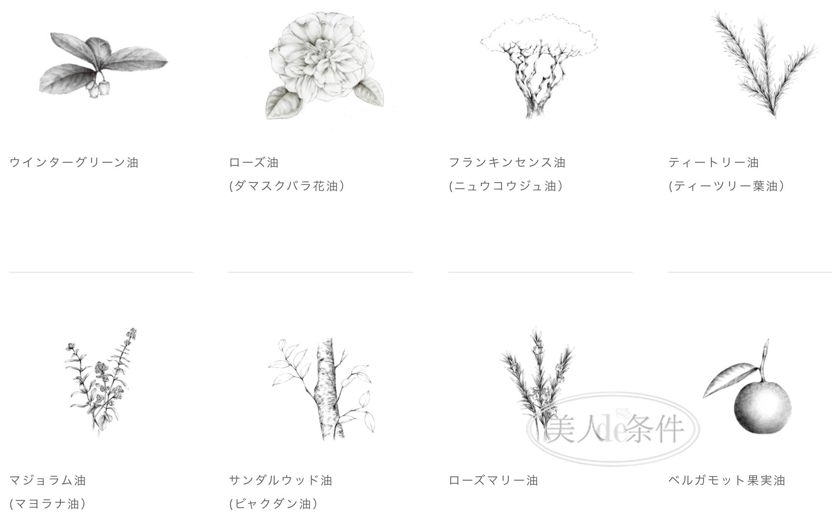 盘点日本化妆品有哪些,日本化妆品四大品牌