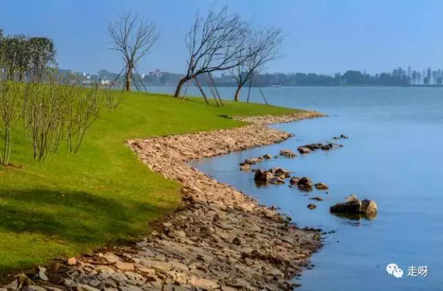 东湖樱花园两日游攻略,东湖绿道游玩最佳攻略