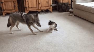 学弟医学院,欢迎各位学弟报名贵州大学