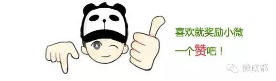 成都有哪些商场值得去,成都可以带宠物玩耍的地方