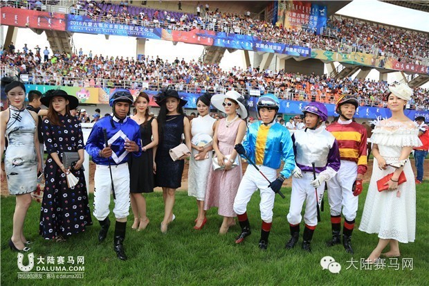 岂止比赛，更是盛会—2016内蒙古鄂尔多斯国际驭马文化节成功举办