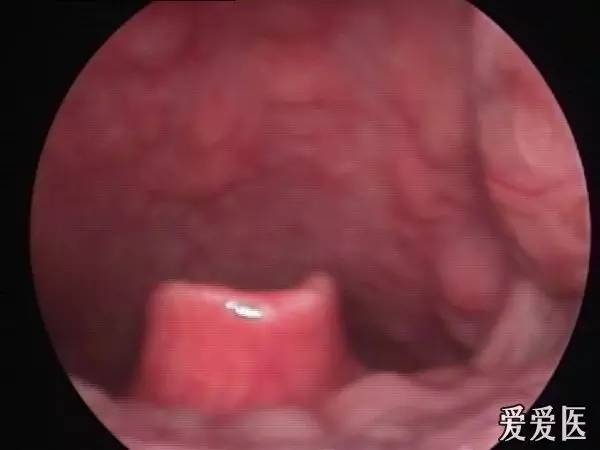 提醒不要疏忽大意的警示语,提醒不要疏忽大意的古句