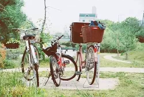 收藏英语语法,小学英语没有音标怎样记单词啊