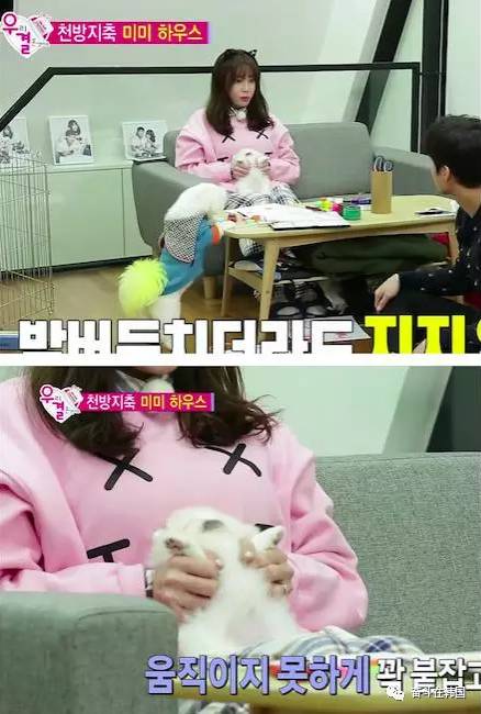 姐妹们你们买过多少羊毛大衣,姐妹们你们买过什么化妆品