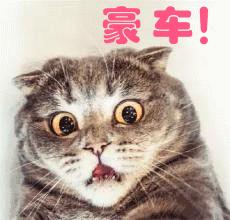 现货贵金属赚钱技巧和方法有哪些,中国正规贵金属现货交易平台app