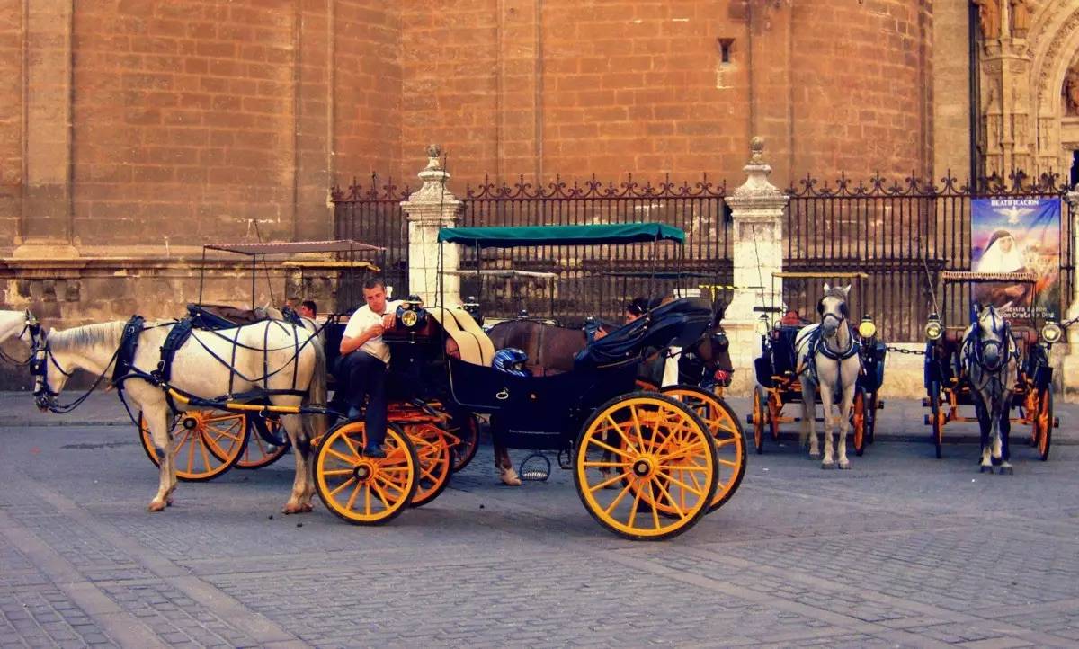 人人都爱粤语版,人人都爱粤语