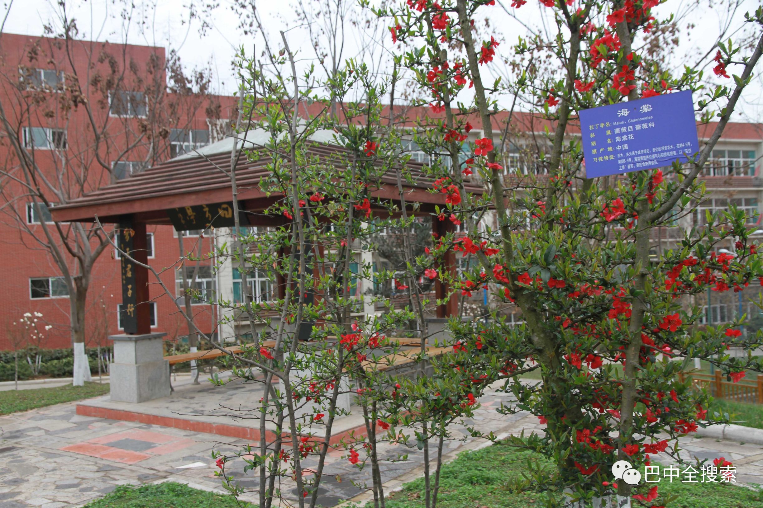 想考绵阳中学要在哪个初中读书,想在绵阳读小学