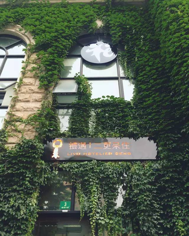 周末浪里个浪|100元春游基金+15家民宿限量房券6折起送你去春游