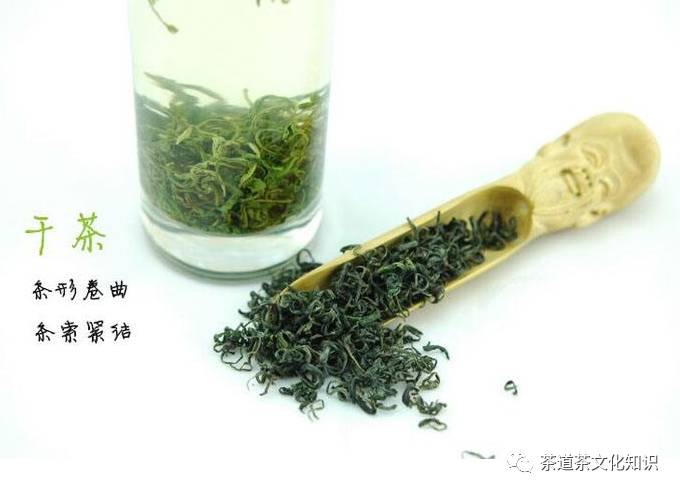 最好的崂山绿茶介绍,正宗崂山绿茶价格