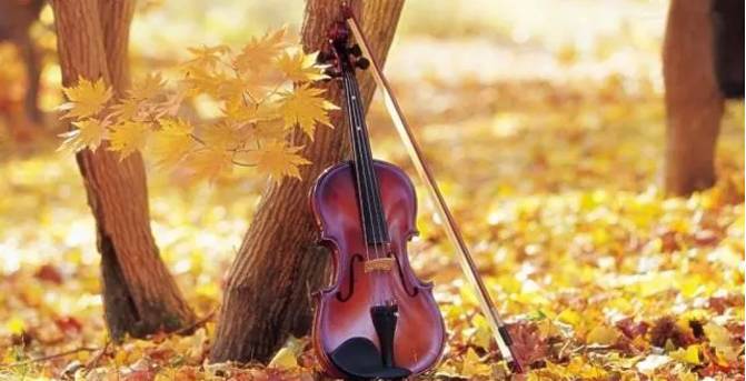 最美最酷的拉丁舞蹈音乐,拉丁舞特色音乐