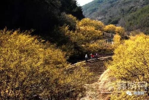 韩国春季赏花的地方,韩国春季赏花胜地