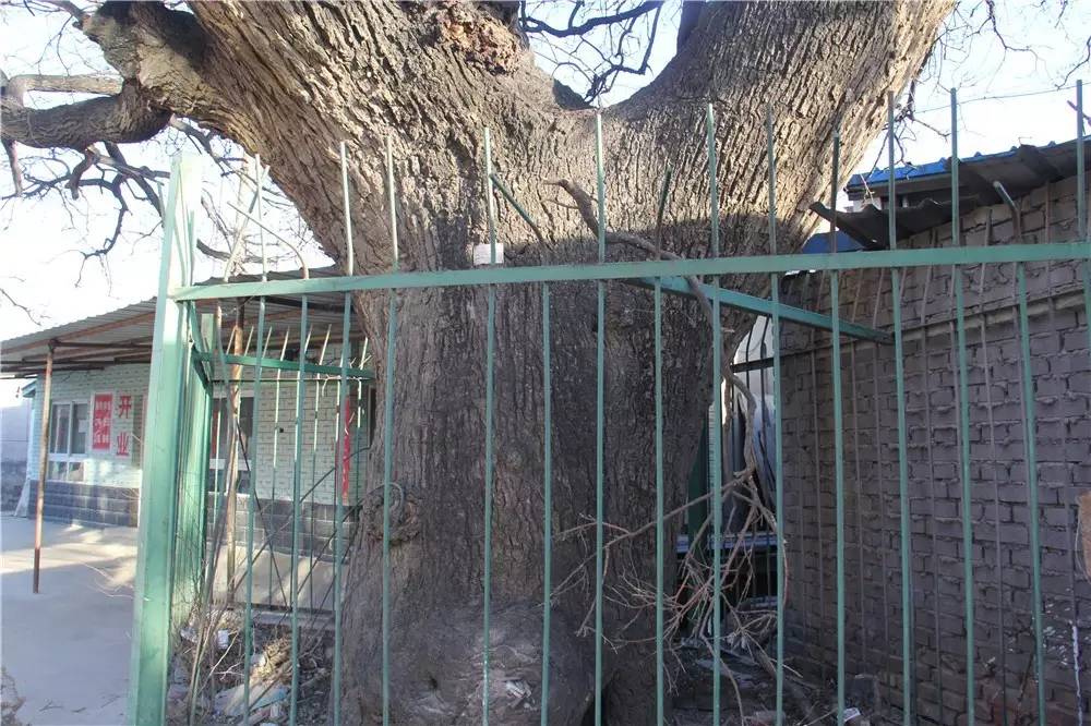 昌平南邵名字的由来,昌平南邵镇简介