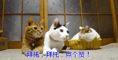 长途汽车实名制了吗,长途客车实名制规定