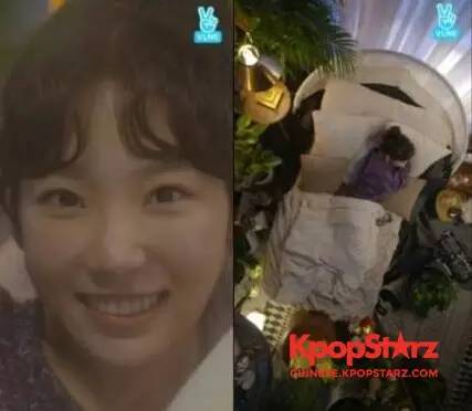 泰妍直播录屏,泰妍直播互动