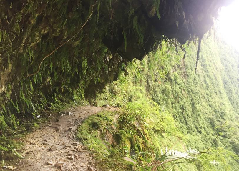 不被蚂蟥咬一次，怎能算走过墨脱｜徒步墨脱大结局