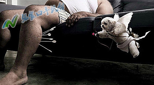 张家口新闻播报视频,张家口手机台新闻联播