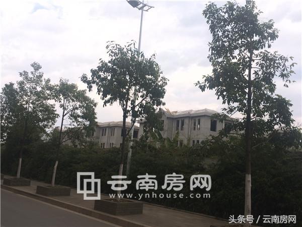 项目易主深耕计划成泡影广西瀚德“败走”昆明