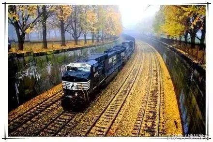 锦城最新消息,锦城消息