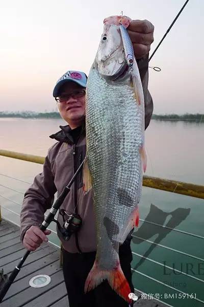 路亚教学口诀,经典路亚新手入门教程