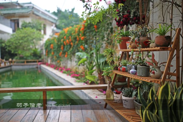居于涟岸隐于湖，到肇庆体验离尘不离城的精致慢生活