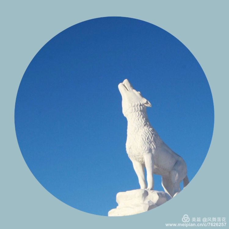 白狐千年等待只为今生相遇,白狼一生只爱一人