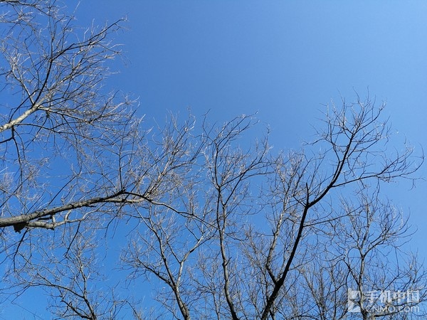 华为p10是徕卡镜头吗,华为p10拍照优缺点