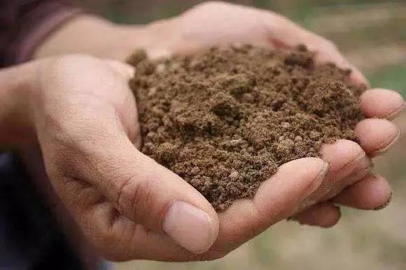 独立游戏市场前景,独立游戏的困局