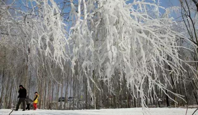 内蒙古通辽市奈曼旗沙漠旅游景点,内蒙古通辽沙漠旅游景点