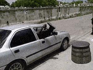 大猩猩gif搞笑图片,黑猩猩搞笑gif图