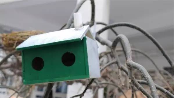 最美的鸟巢,鸟巢全景全部