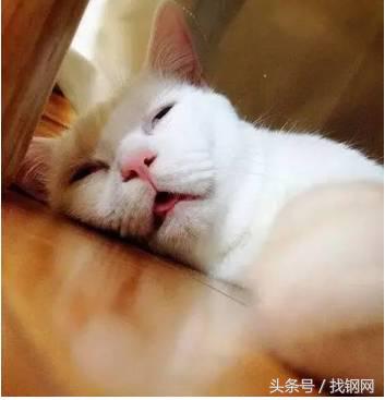 钢材销售员的一天，简直太形象了！笑喷……