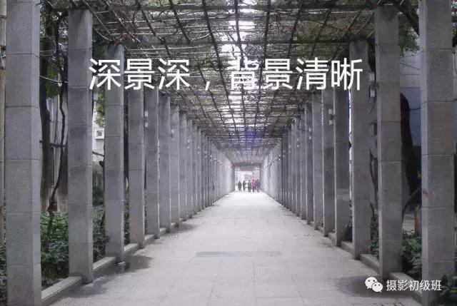 一张图看懂景深的意思,快门光圈iso与景深