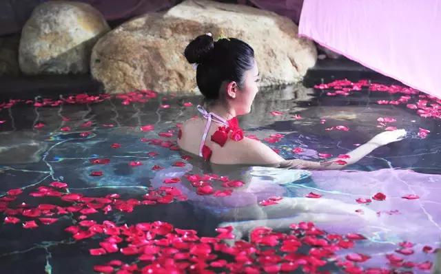 阳春三月赏桃花节 (阳春三月桃花节图片)