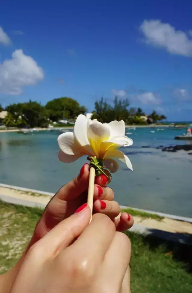 毛里求斯，拿水壶换保时捷的天堂