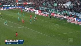 安联新国王,安联国王是谁