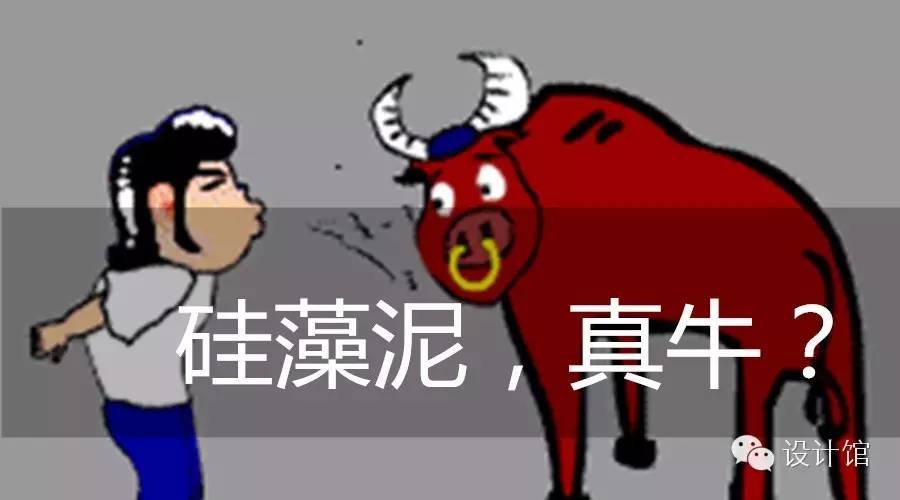 硅藻泥真的这么好吗,硅藻泥的真实缺点