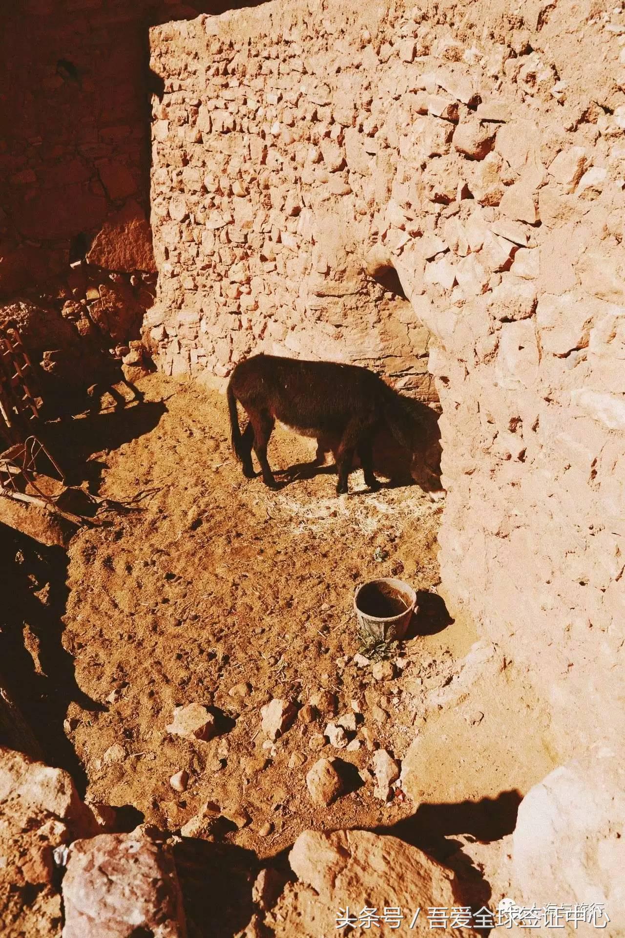 摩洛哥自由行全攻略 (最全的摩洛哥攻略)