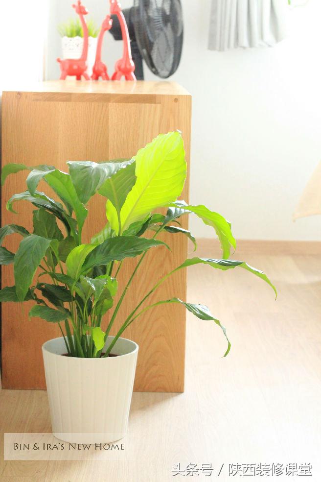 日式muji风享受清新舒适生活,muji原木风温馨小家