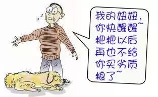 幼犬吃劣质狗粮会怎么样,长期吃劣质狗粮导致肾衰