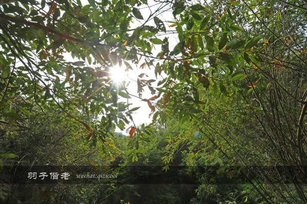 居于涟岸隐于湖，到肇庆体验离尘不离城的精致慢生活