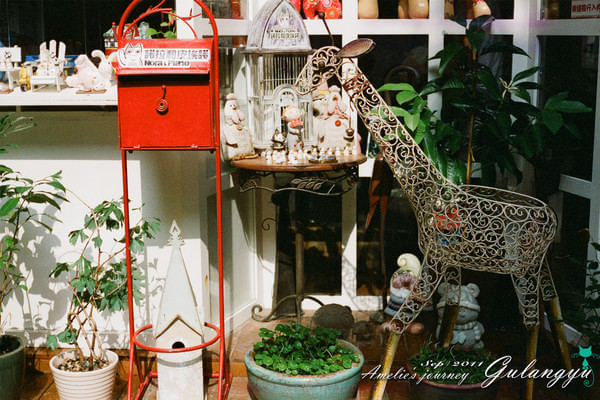 鼓浪屿旅行攻略最新,鼓浪屿旅行攻略大全