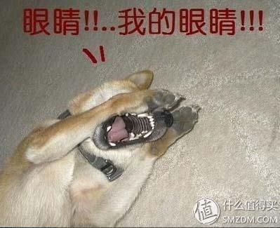 青葱手机metal评测,新款高性价比手机测评