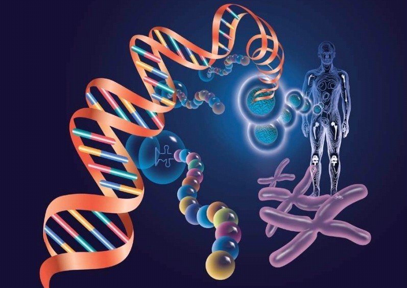 分子靶向药物的副作用和耐药不可忽略