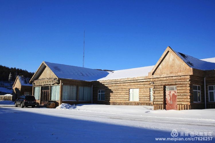 白狐千年等待只为今生相遇,白狼一生只爱一人