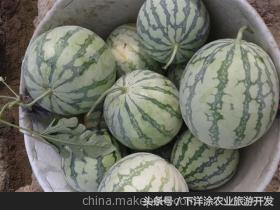 十里春风不如相约下洋涂，宁波不得不去的旅游胜地