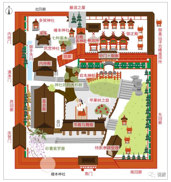 日本紫藤花美景,日本最浪漫的紫藤