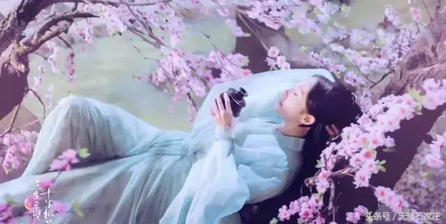 石家庄桃花古镇,石家庄桃花源在哪儿