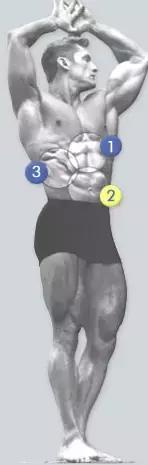 「组图」压箱底的腹肌锻炼方法,通通拿走