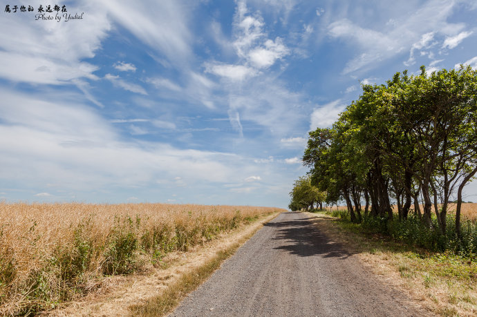 歌德与席勒,歌德为席勒写的诗